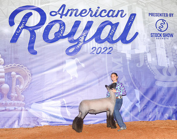 5th Overall Market Lamb, 2022 American Royal