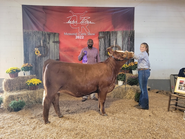 Grand Champion Commercial Heifer, 2022 Justin Rose Memorial Cattle Show