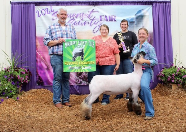 Reserve Champion Market Lamb, 2022 Somerset County Fair