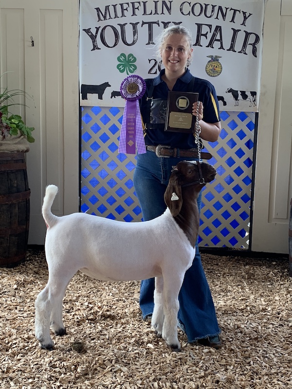 Grand Champion Market Goat, 2022 Mifflin County Youth Fair