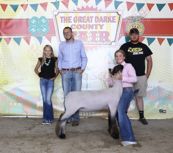 Grand Champion Commercial Ewe, 2022 Darke County Fair