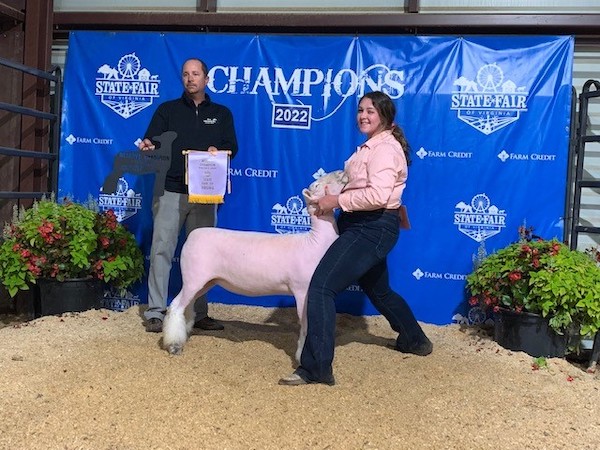 Reserve Champion Breeding Sheep, 2022 State Fair of Virginia