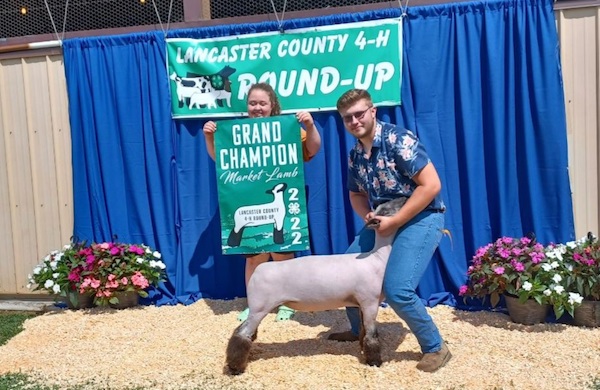Grand Champion Lamb, 2022 Lancaster County 4-H Round Up
