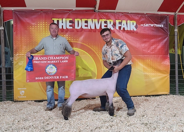 Grand Champion Preview Lamb, 2022 Denver Fair