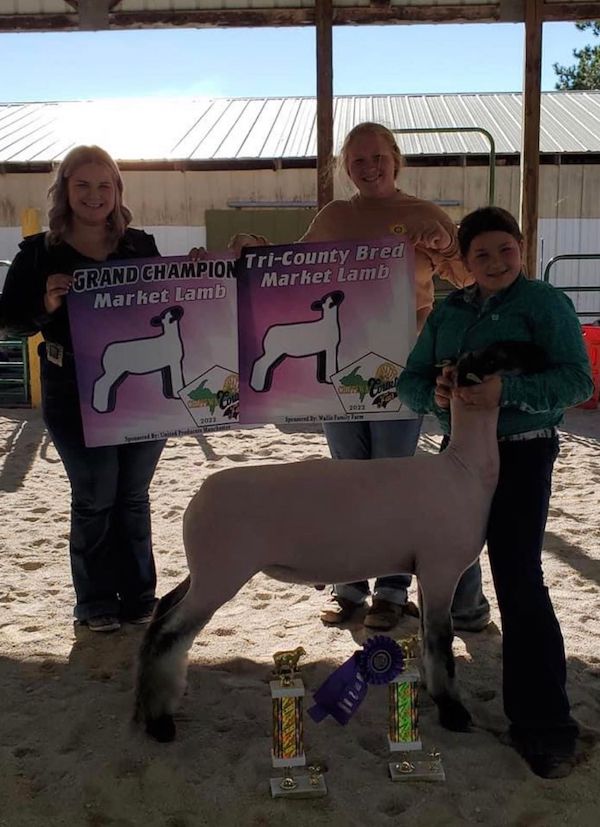 Grand Champion Market Lamb, 2022 Chippewa County Fair