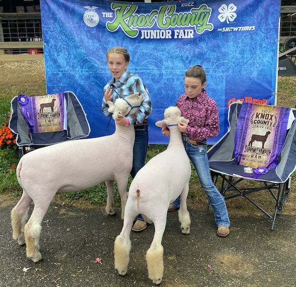 Supreme Champion Ewe, 2022 Knox County Jr Fair