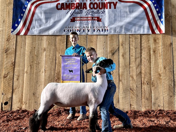 Reserve Champion Overall Market Lamb, 2022 American Legion County Fair