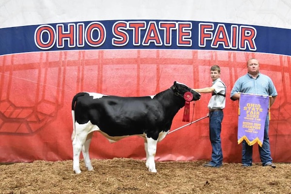 Reserve Champion Dairy Feeder Calf, 2022 Ohio State Fair