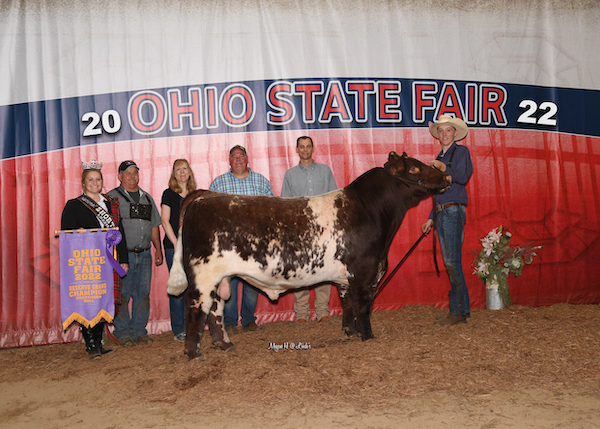 Reserve Grand Champion Bull, 2022 Ohio State Fair