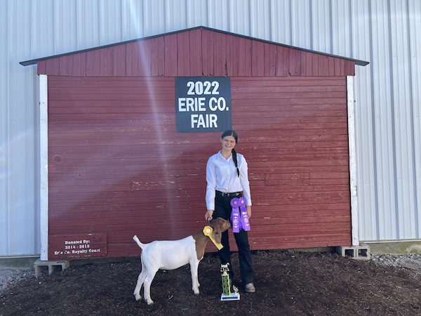 Grand Champion Goat, 2022 Erie County Fair