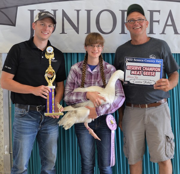 Reserve Champion Meat Geese, 2022 Seneca County Fair