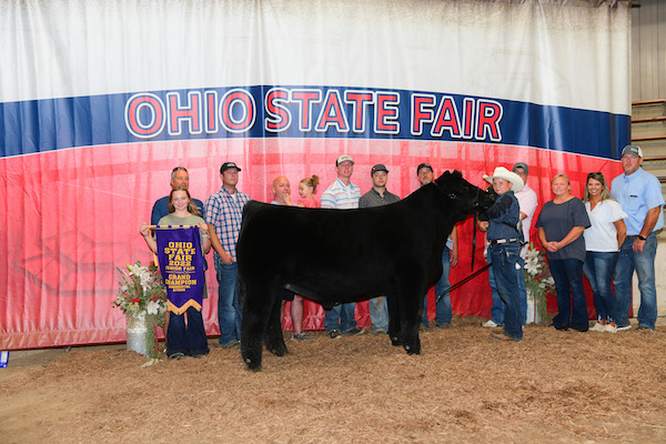 Grand Champion Simmental, 2022 Ohio State Fair