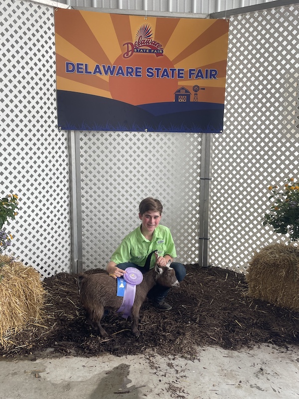 Reserve Grand Champion Goat, 2022 Delaware State Fair