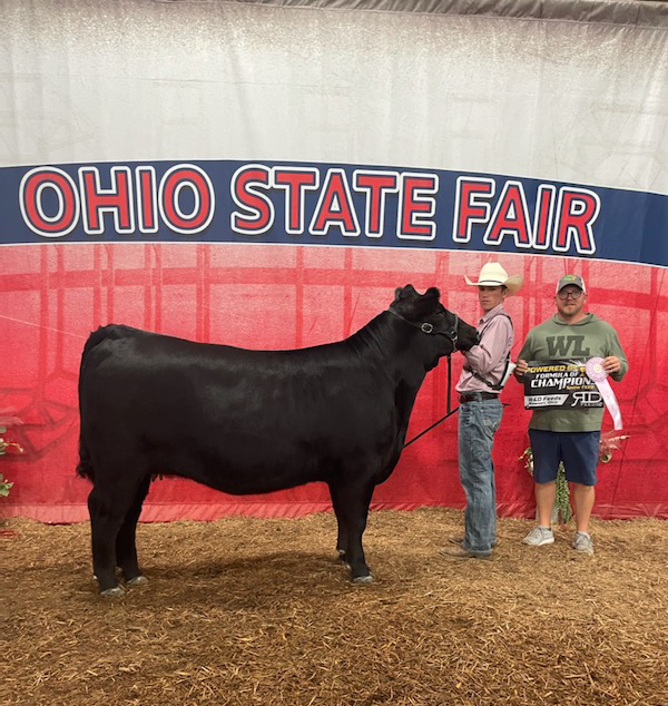 Reserve Grand Champion Heifer, 2022 Ohio State Fair