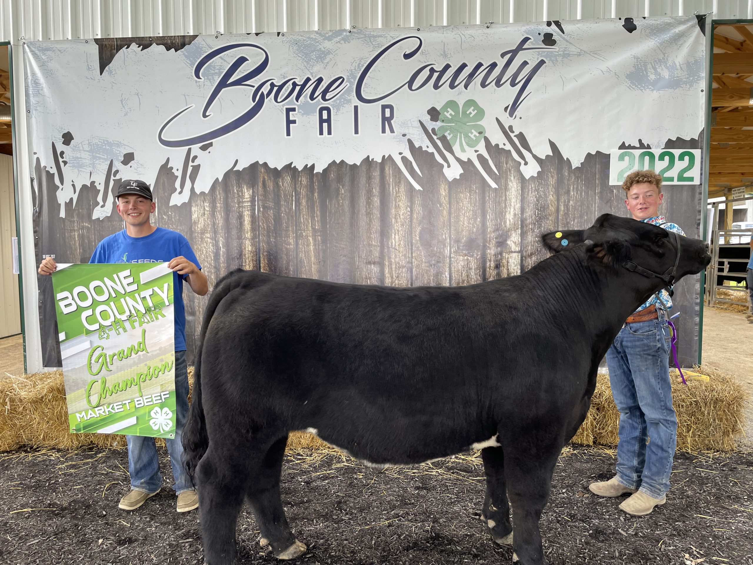 Grand Champion Market Beef, 2022 Boone County Fair