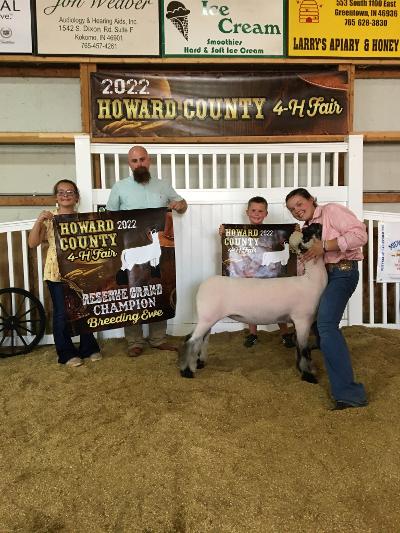 Reserve Grand Champion Overall Breeding Ewe, 2022 Howard County Fair