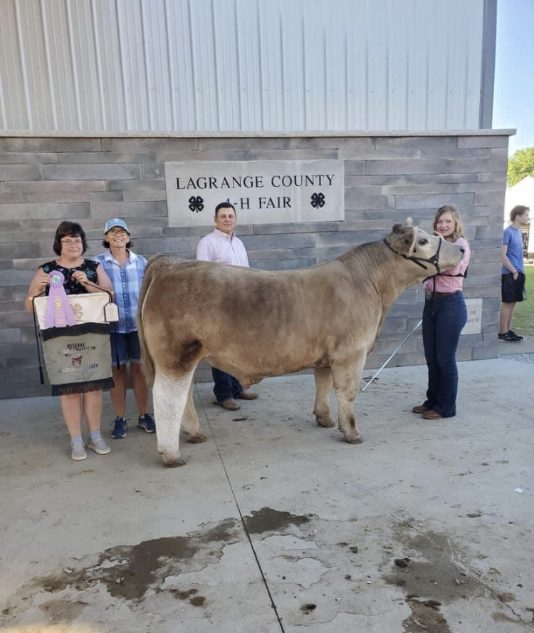Reserve Grand Champion Steer, 2022 LaGrange County 4-H Fair
