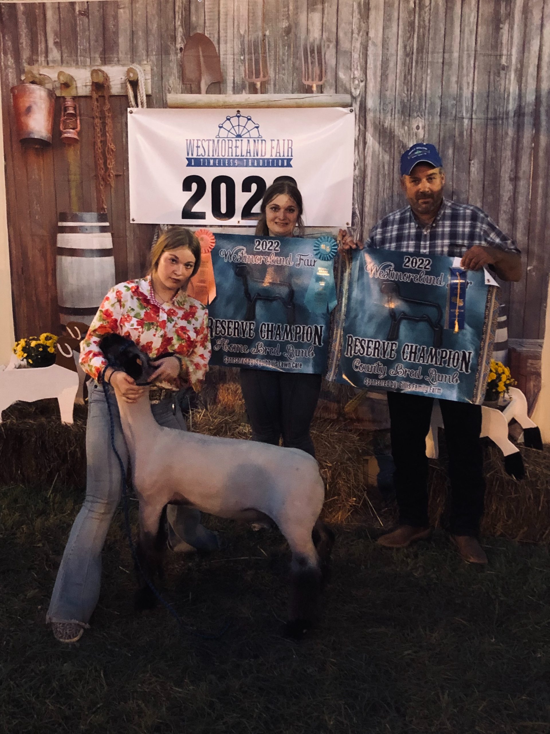 Reserve Champion Home Bred Lamb, 2022 Westmoreland County Fair