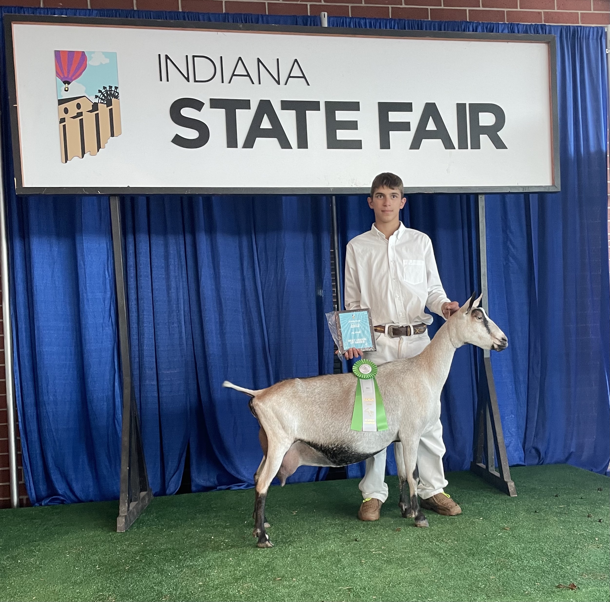 Reserve Grand Champion Milking Doe, 2022 Indiana State Fair