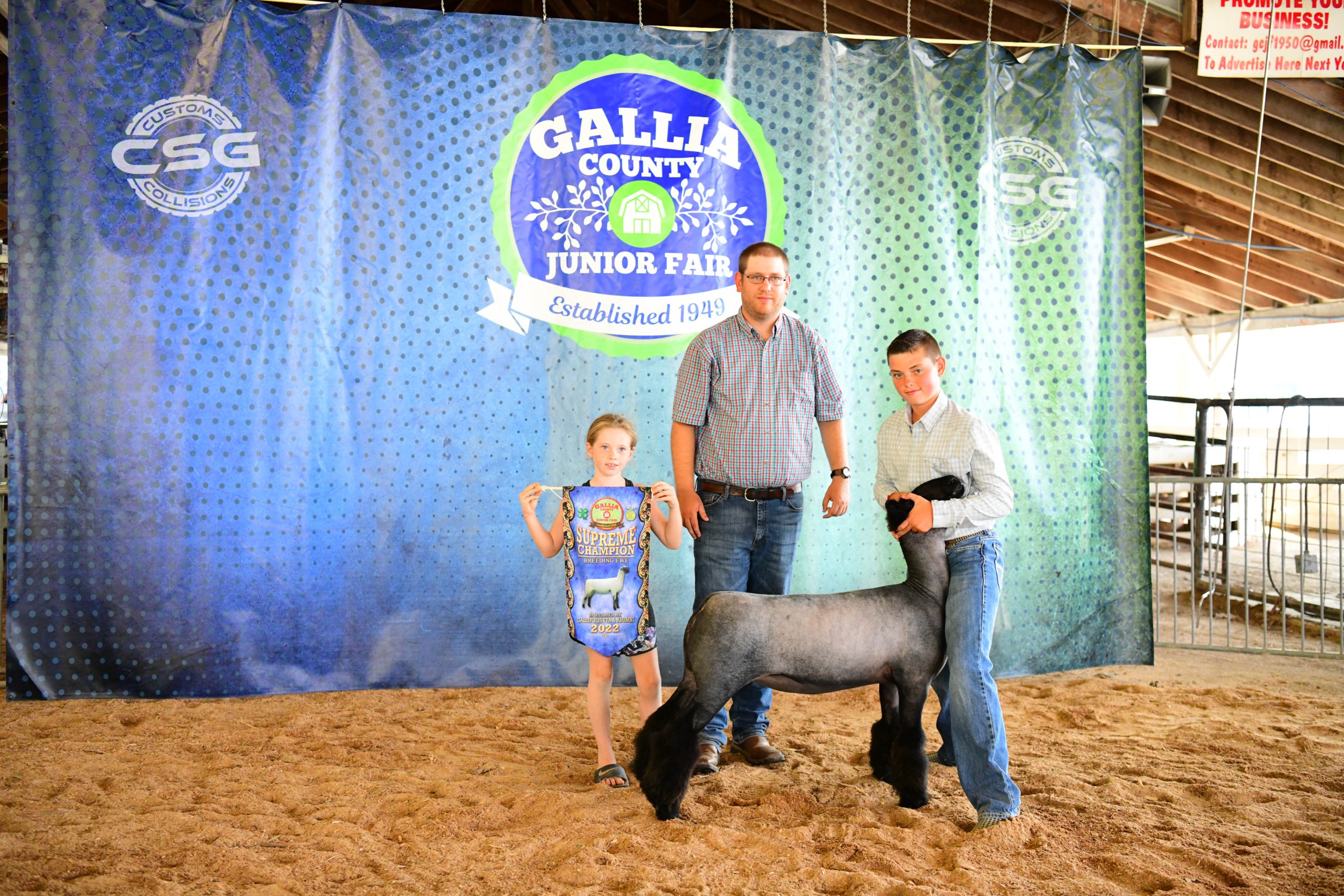 Supreme Champion Breeding Ewe, 2022 Gallia County Jr. Fair