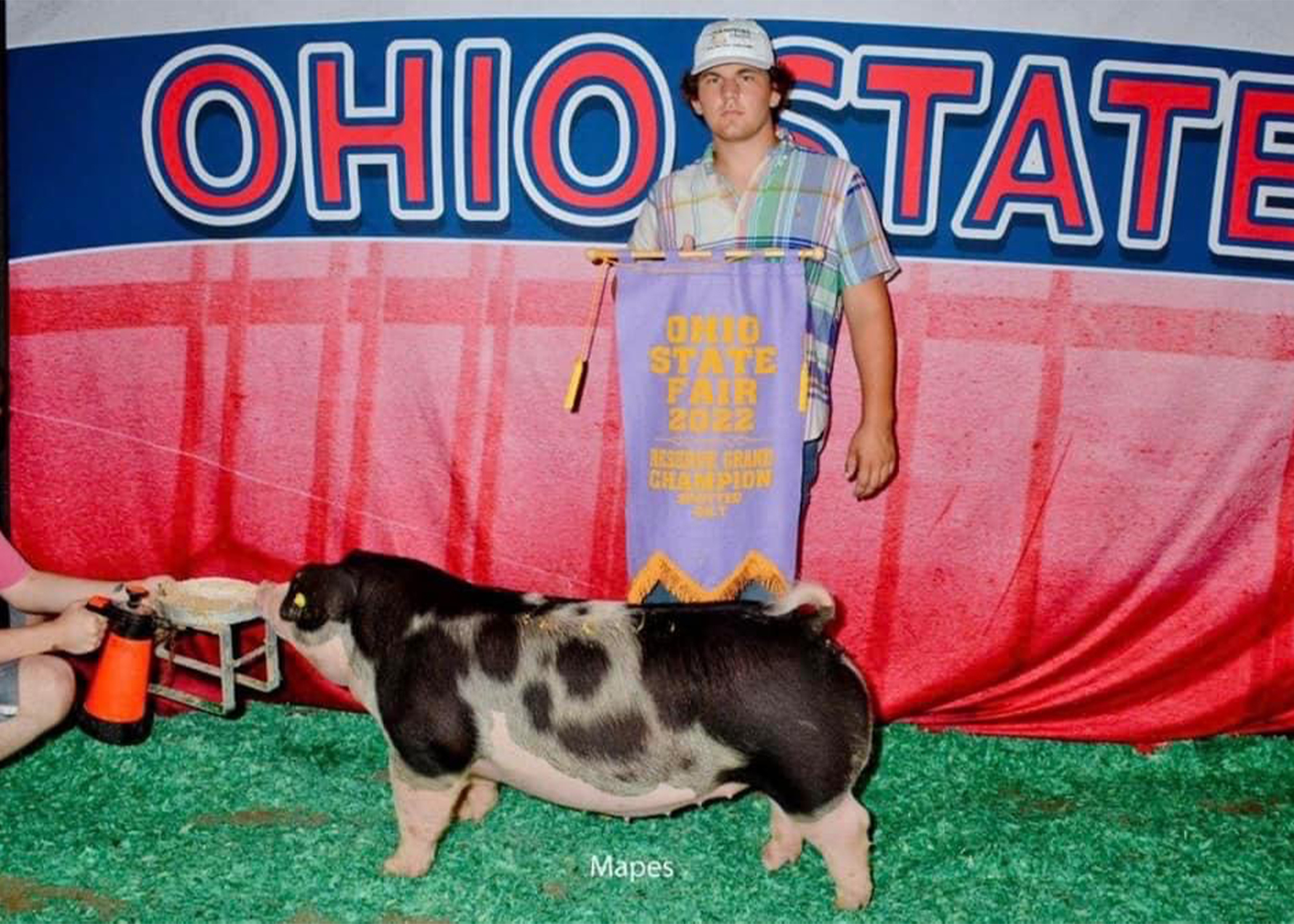 Reserve Champion Spotted Gilt, 2022 Ohio State Fair