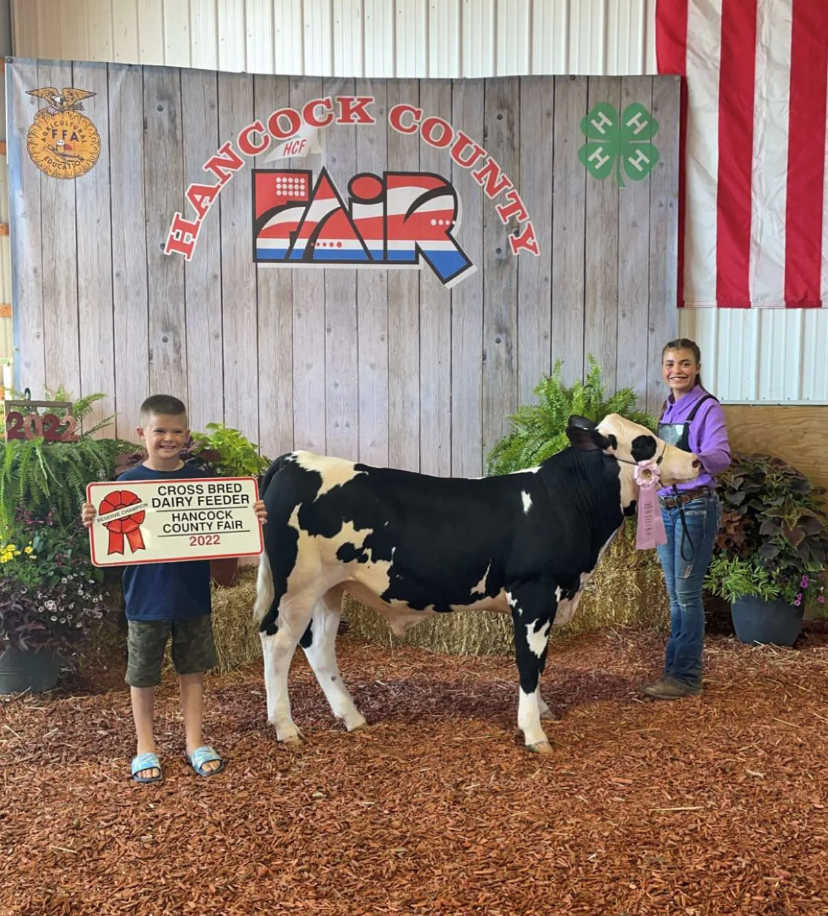 Reserve Champion Crossbred Dairy Feeder, 2022 Hancock County Jr Fair