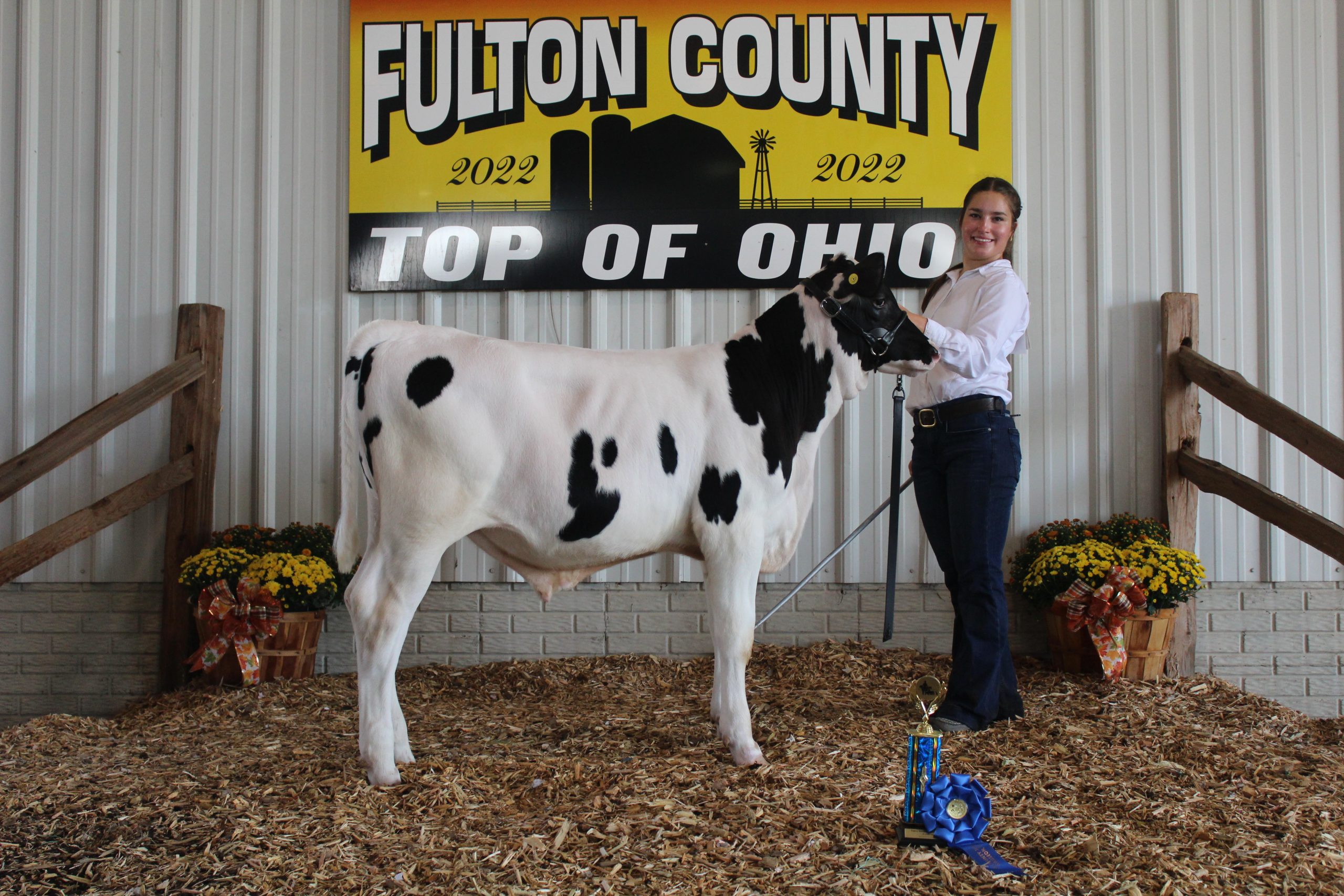 Grand Champion Dairy Beef Feeder Calf, 2022 Fulton County Fair