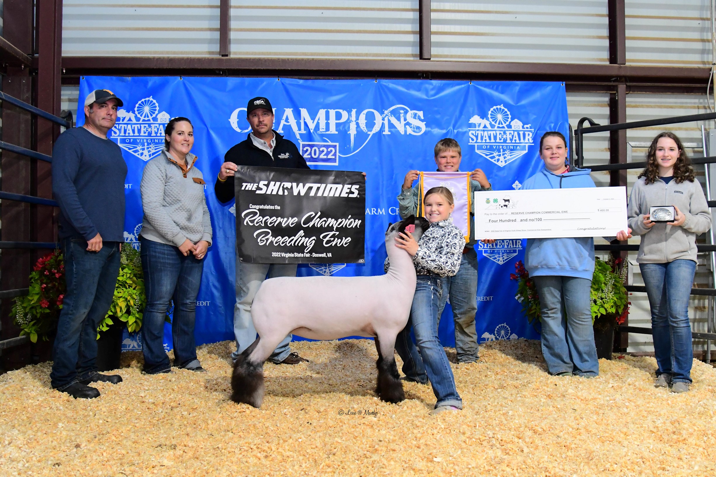 Reserve Overall Commercial Ewe, 2022 State Fair of Virginia