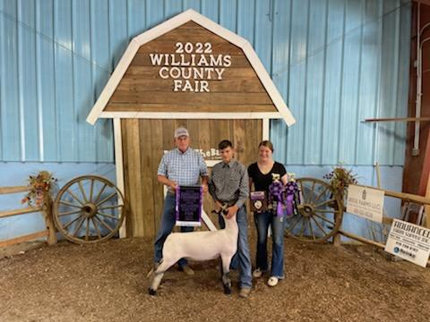 Reserve Grand Champion Market Lamb, 2022 Williams County Fair