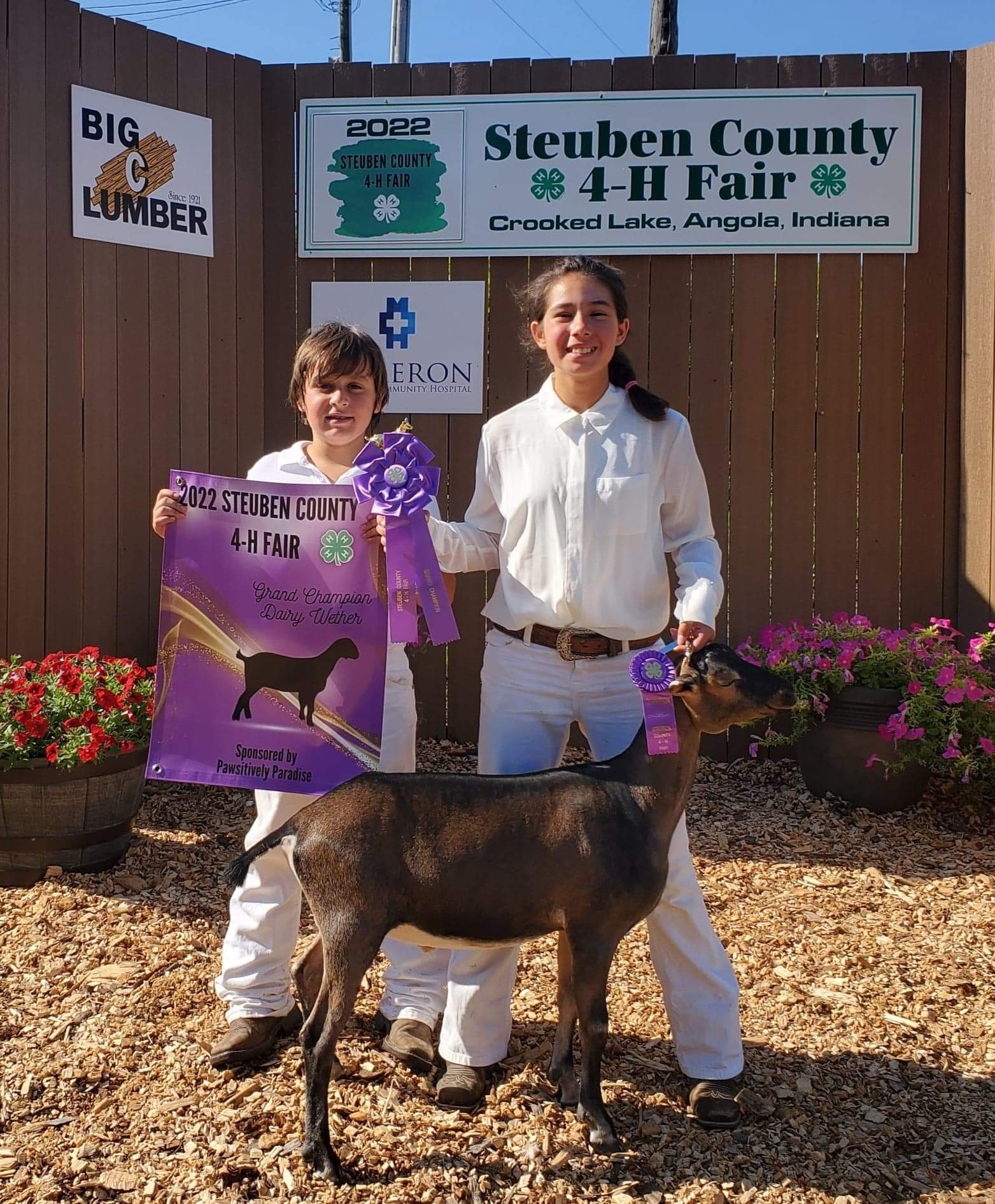 Grand Champion Dairy Wether, 2022 Steuben County 4-H Fair