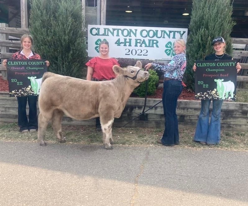 Overall Grand Champion Beef, 2022 Clinton County Fair