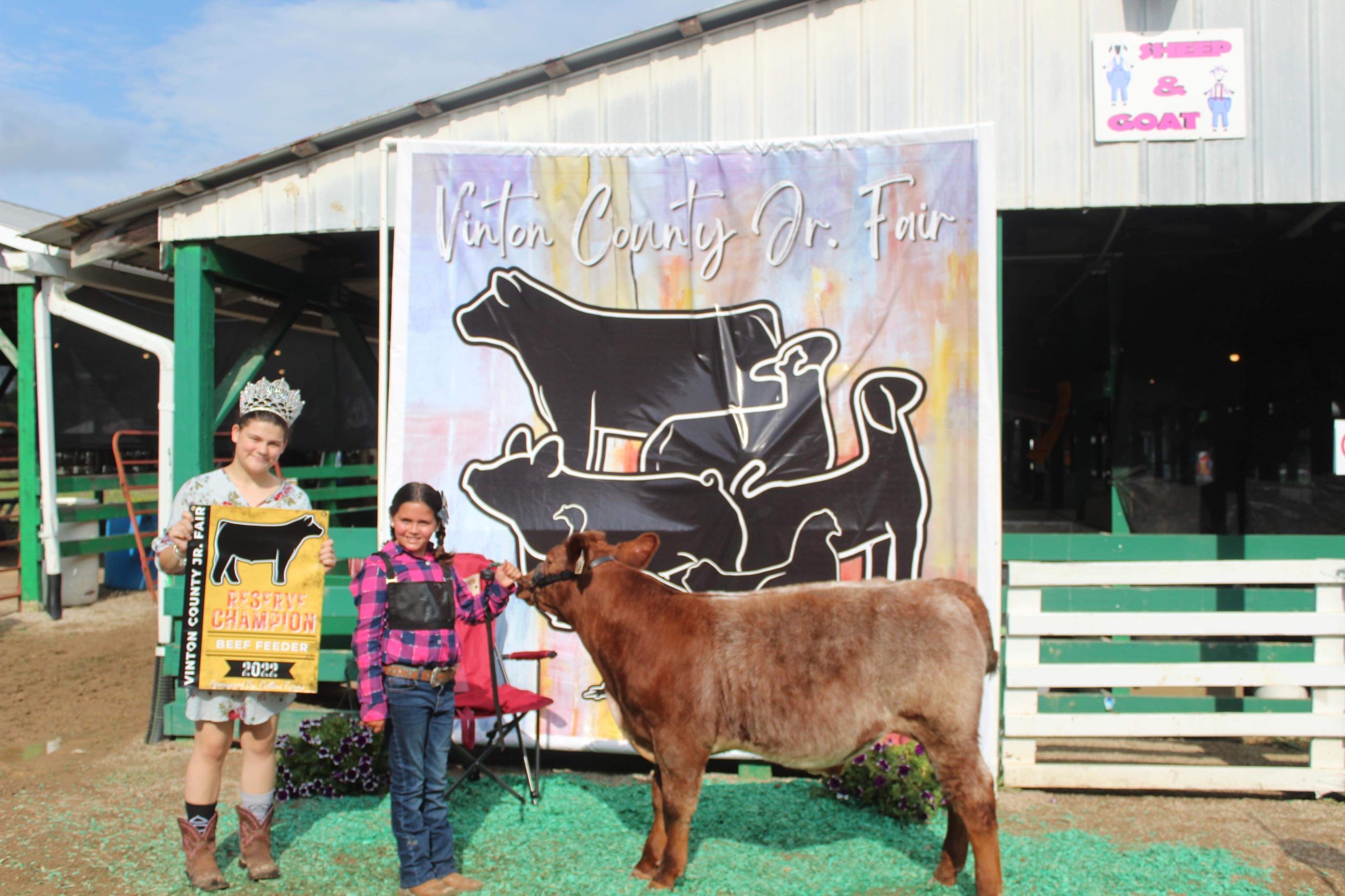 Reserve Grand Champion Beef Feeder, 2022 Vinton County Jr. Fair
