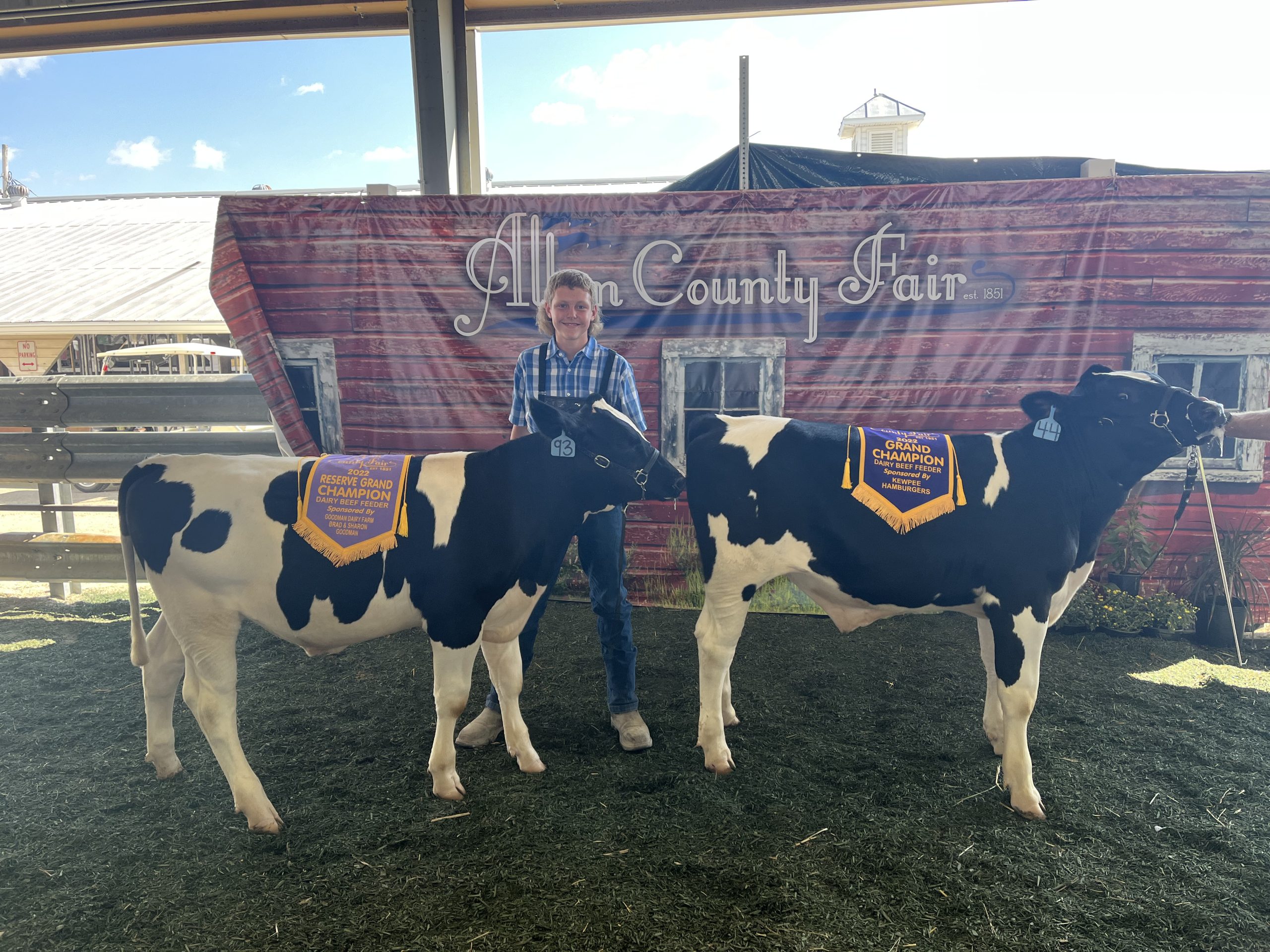 Grand and Reserve Champion Dairy Beef, 2022 Allen County Fair
