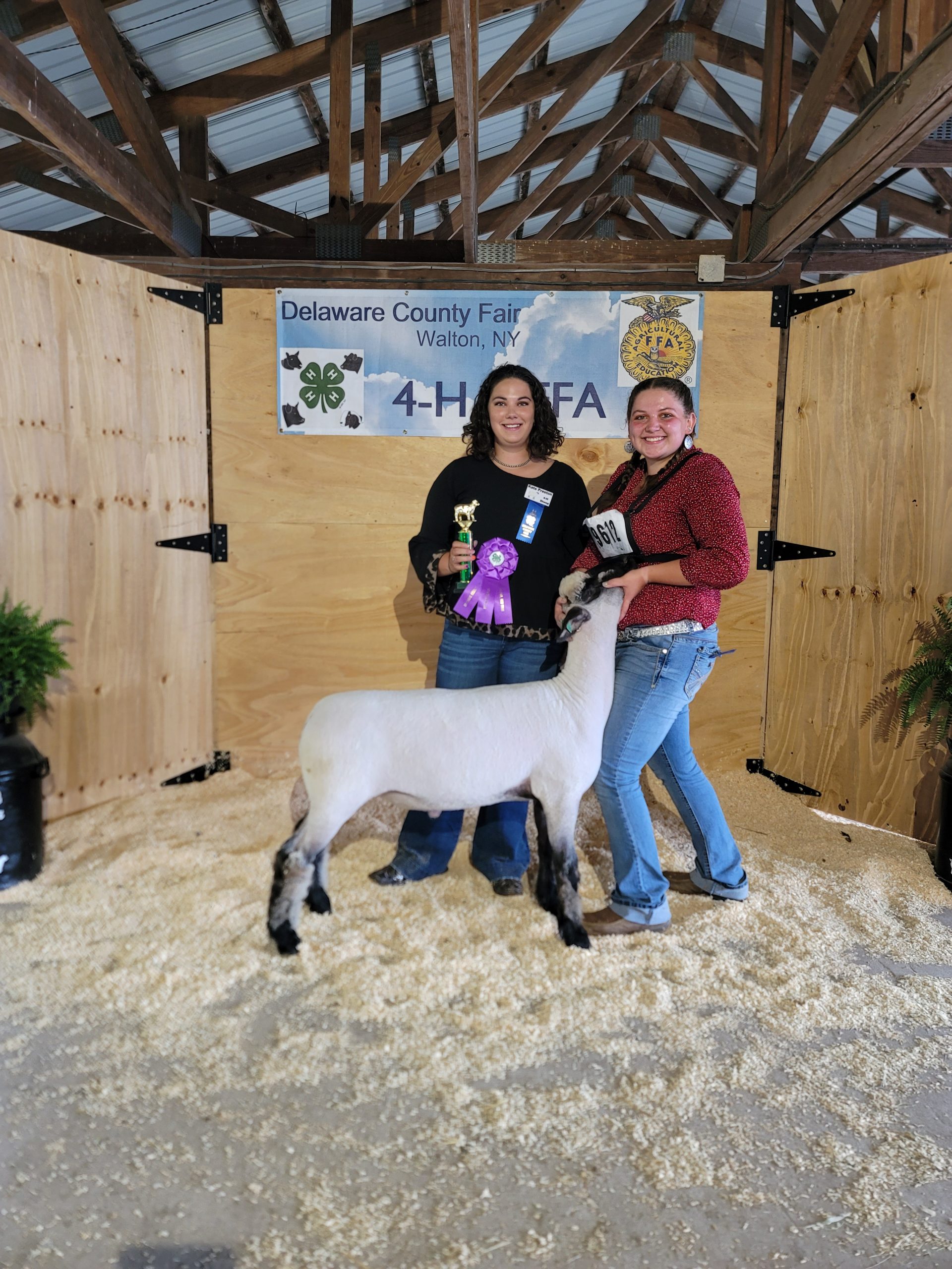Grand Champion Market Lamb, 2022 Delaware County Fair