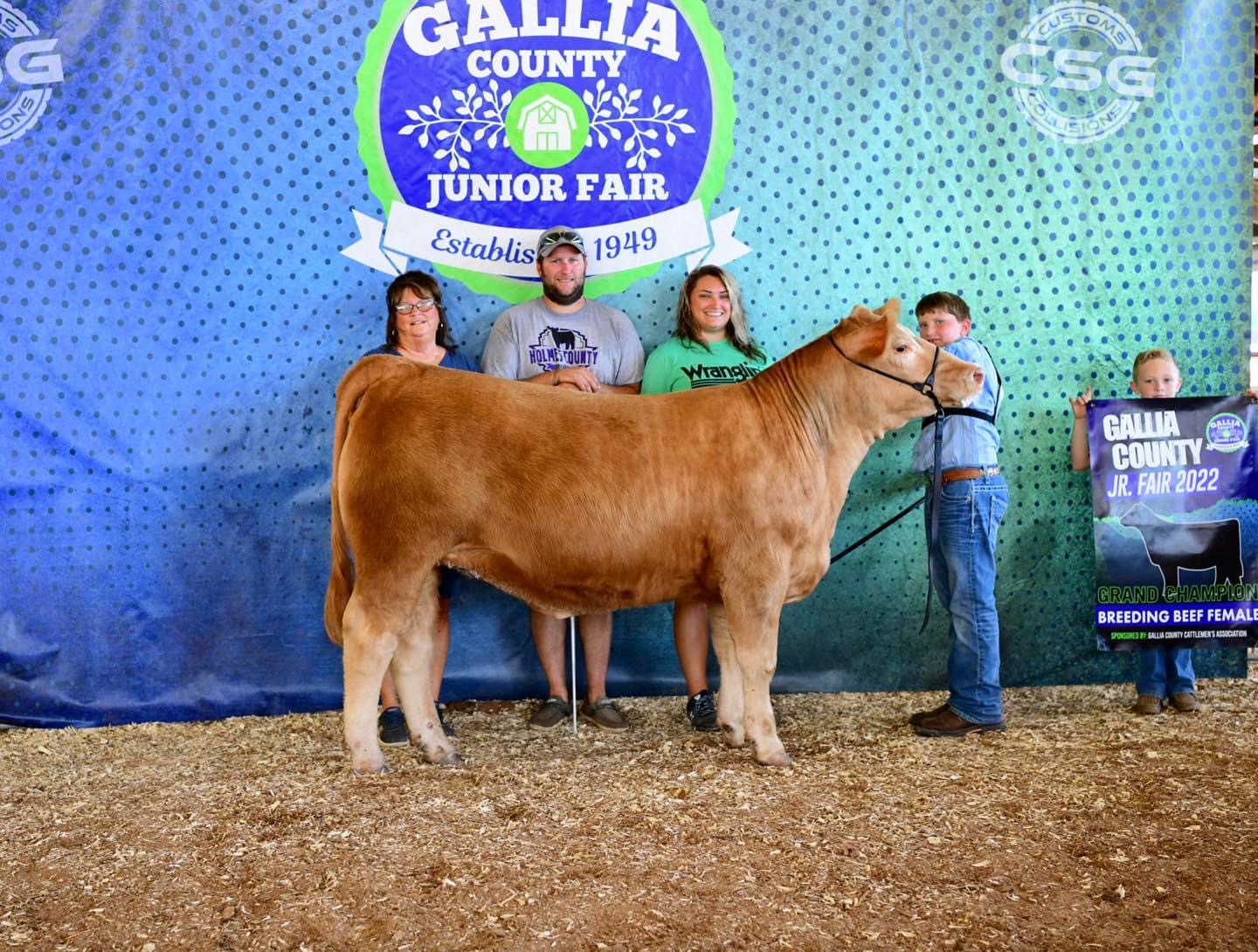 Grand Champion Breeding Beef Female, 2022 Gallia County Fair