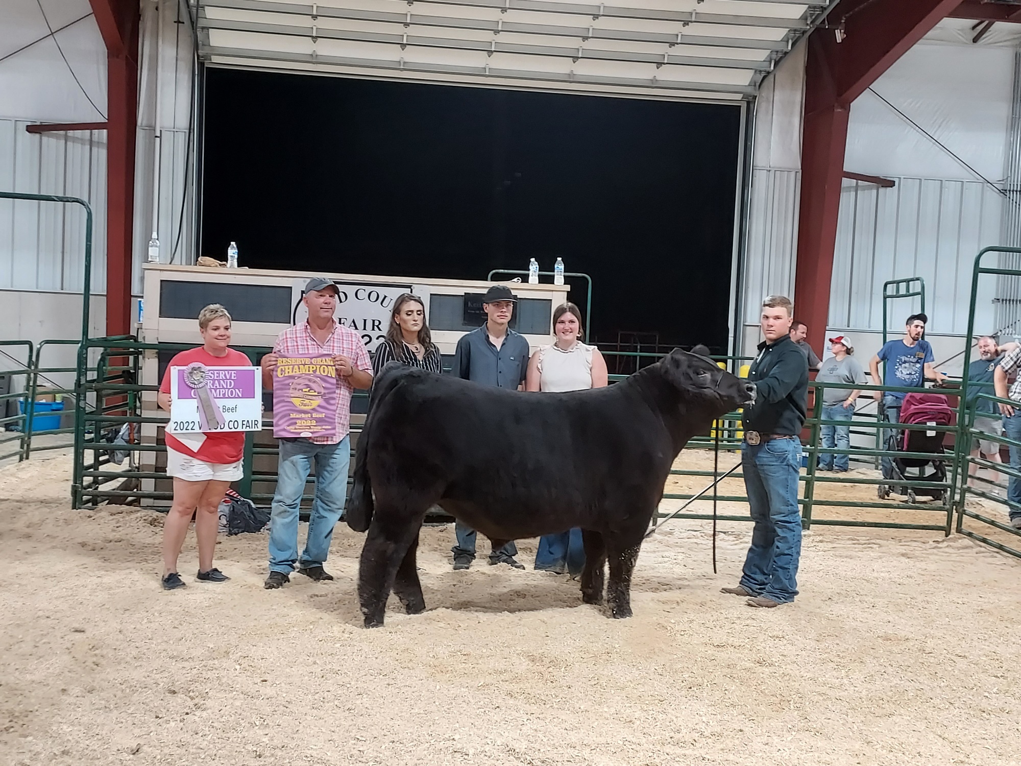Reserve Grand Champion Beef, 2022 Wood County Fair 2022