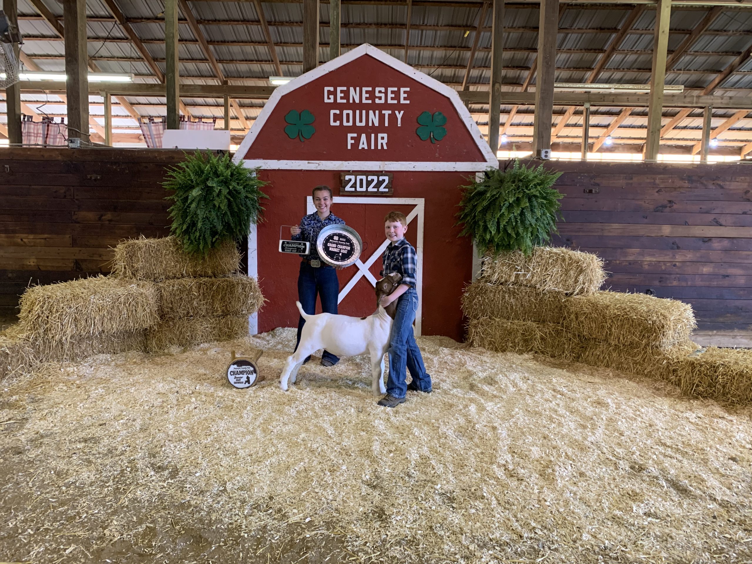 Grand Champion Market Goat, 2022 Genesee County Fair