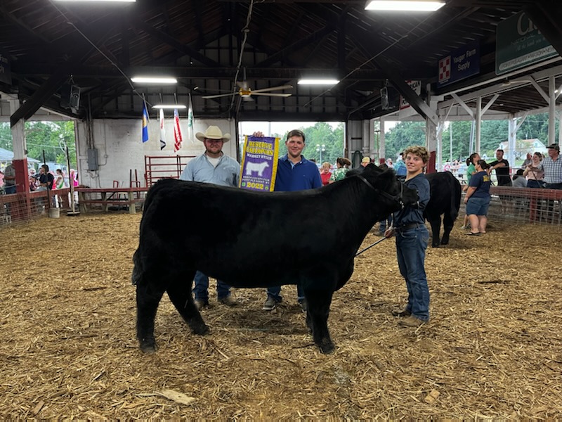 Reserve Grand Champion Steer, 2022 Mason County Fair