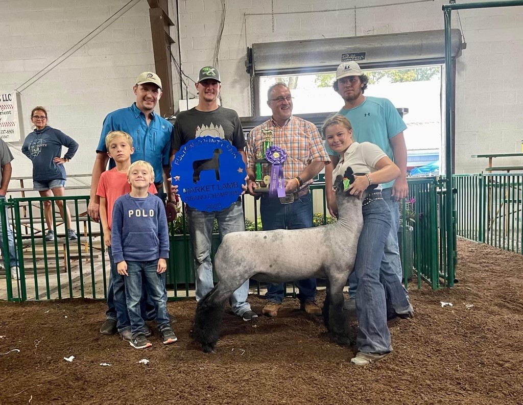 Grand Champion Market Lamb, 2022 Fulton County Fair