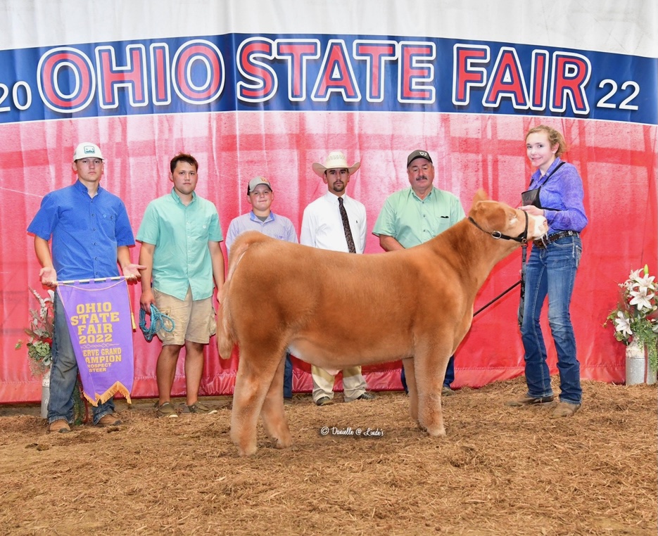 Reserve Grand Champion Steer, 2022 Ohio State Fair