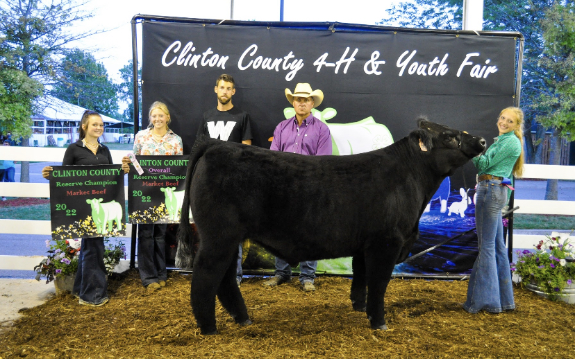 Overall Reserve Champion Market Steer, 2022 Clinton County Fair