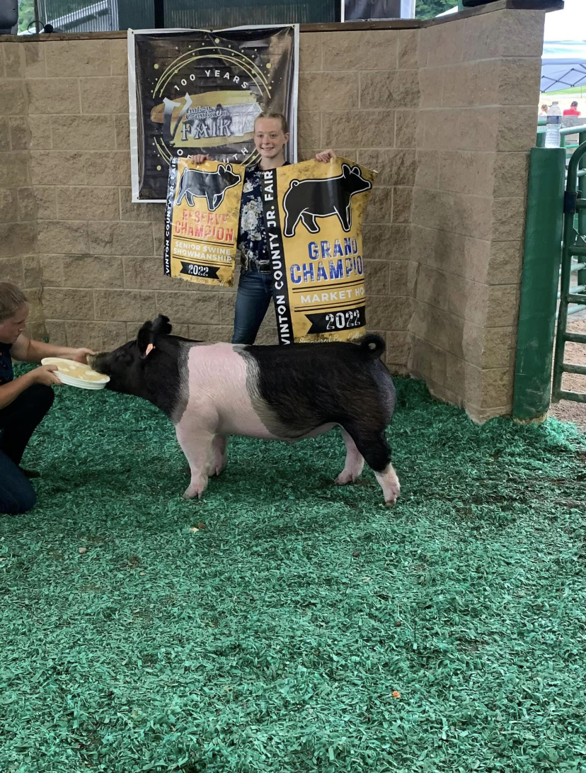Overall Grand Champion Market Hog, 2022 Vinton County Jr Fair