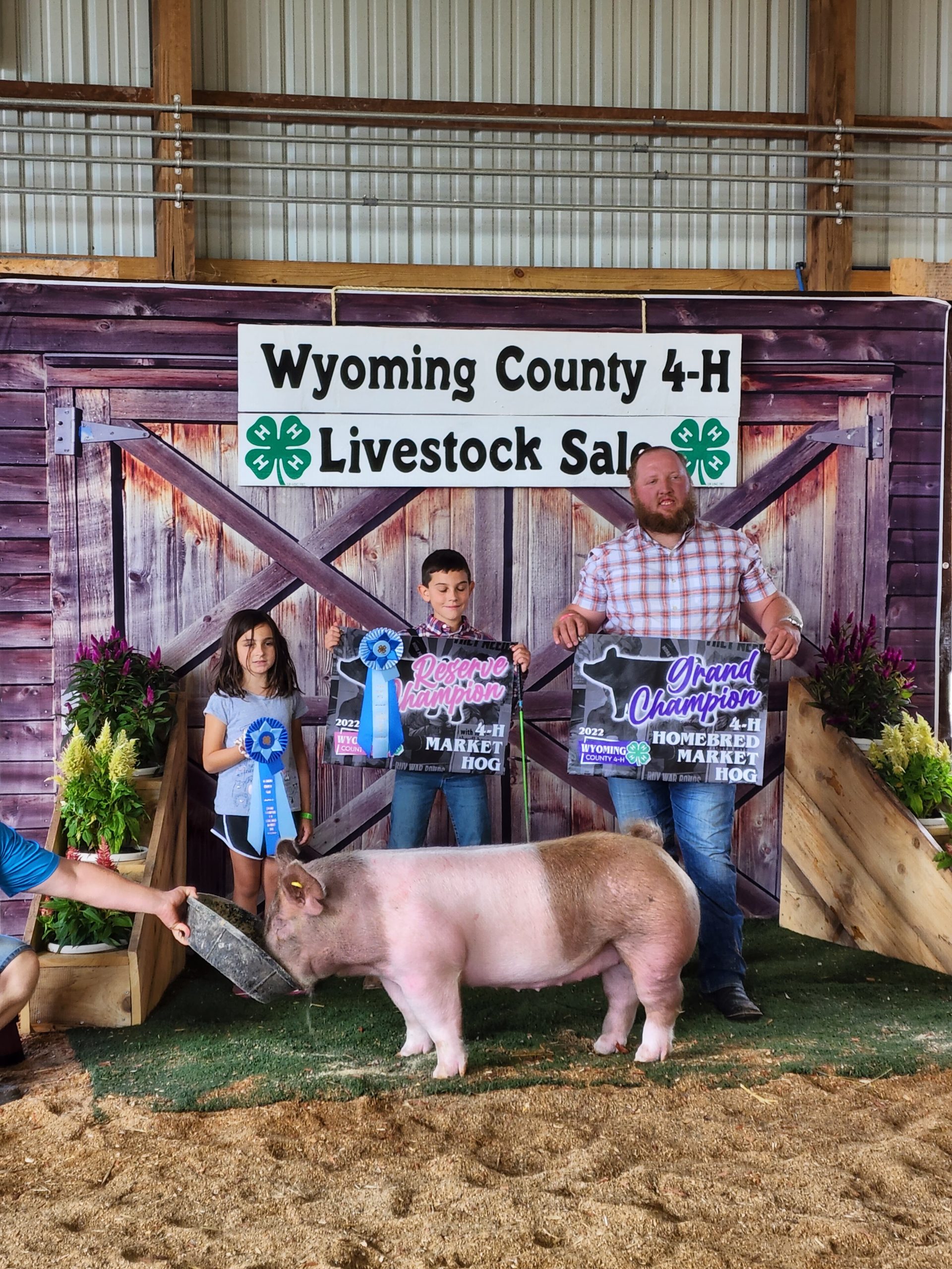 Reserve Champion Market Hog, 2022 Wyoming County Fair