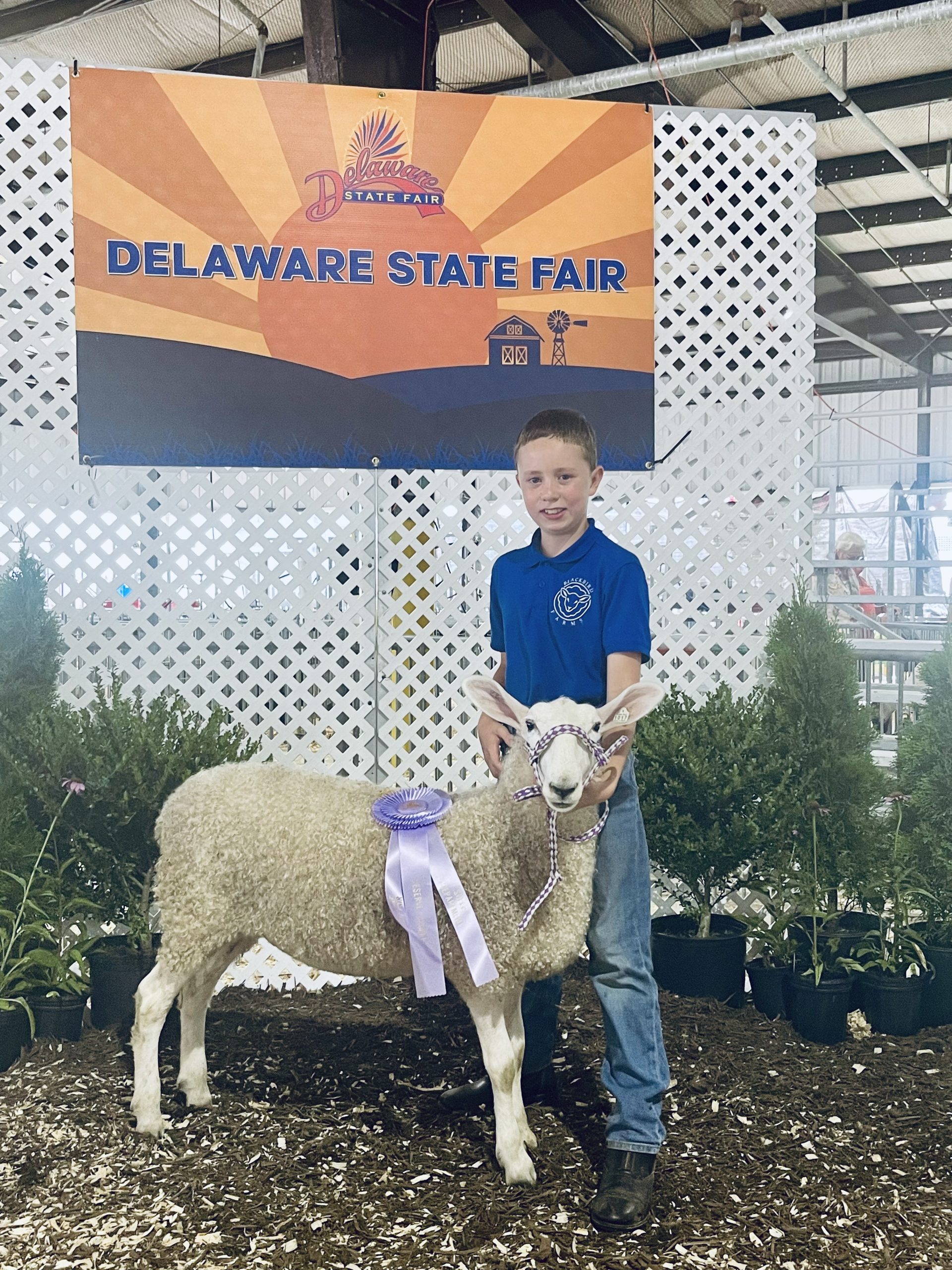 Reserve Grand Champion Sheep, 2022 Delaware State Fair