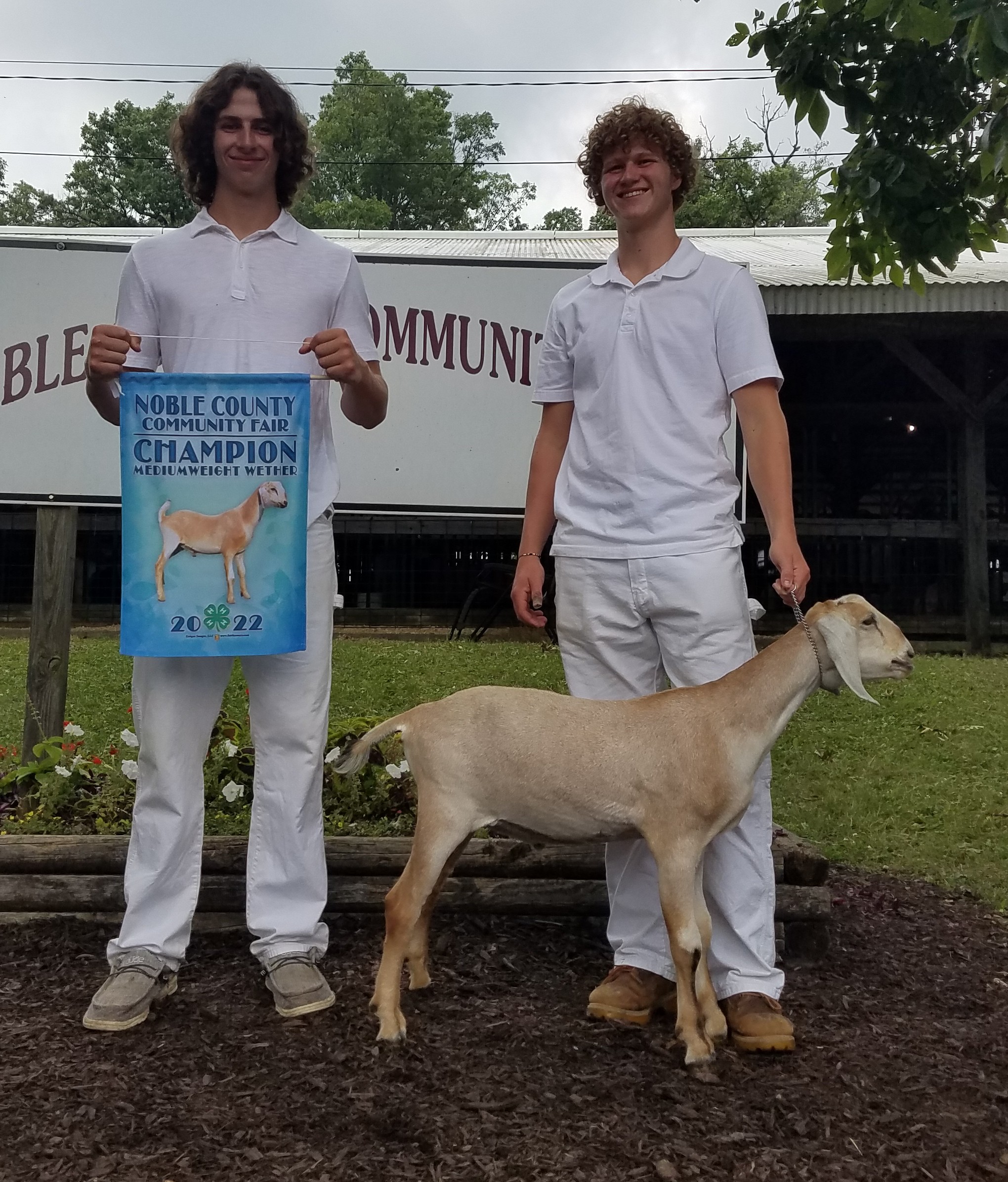 Grand Champion Wether, 2022 Noble County 4-H Fair