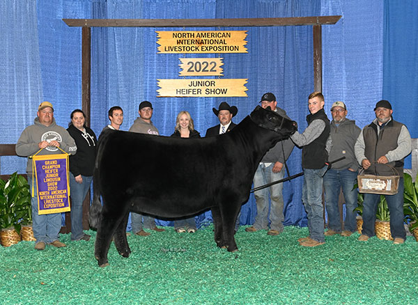 Champion Limousin Heifer 2022 N.A.I.L.E. Jr. Show Supreme Female, 2022 Maryland State Fair