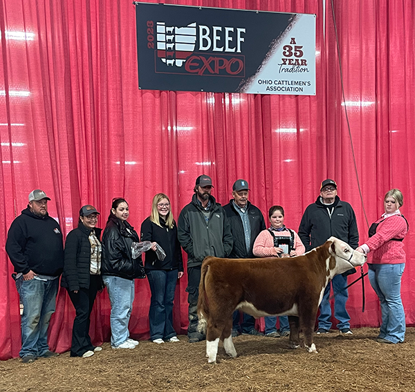 Grand Champion Overall Prospect Steer, 2023 Ohio Beef Expo