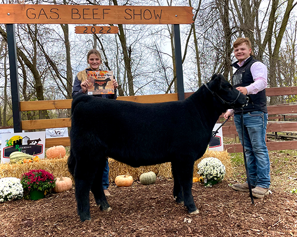 Reserve Champion Maintainer Heifer, 2022 G.A.S. Harvest Open Cattle Show