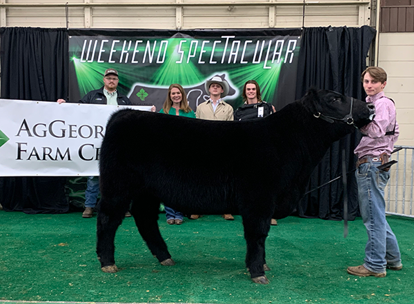 4th Overall Steer, 2022 Georgia AG Credit Weekend Spectacular