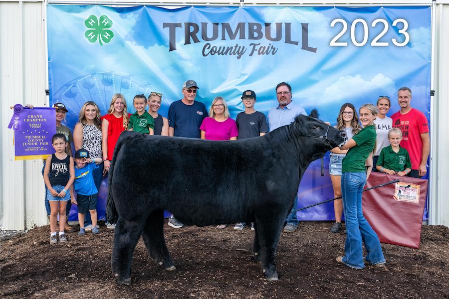 Grand Champion Market Steer, Champion Intermediate Showman, Showman of Showmen, 2023 Trumbull County Fair